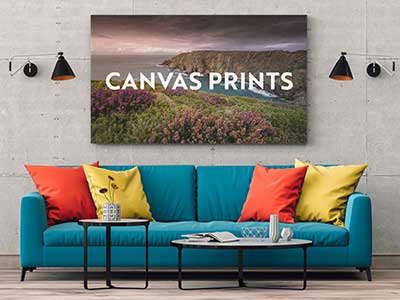 canvas prints - canvas on wall behind sofa